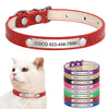 Individuell gravierte Leder-Hundehalsband mit ID-Tag