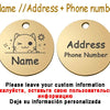 Two round gold stainless steel pet ID tags showing a design template for name address and phone number.