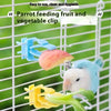 Parrot Food Holder Clip with Chain – Bird Cage Fruit & Vegetable Feeder