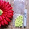 Colorful Soft Silicone Nail Caps for Cats and Dogs with Adhesive