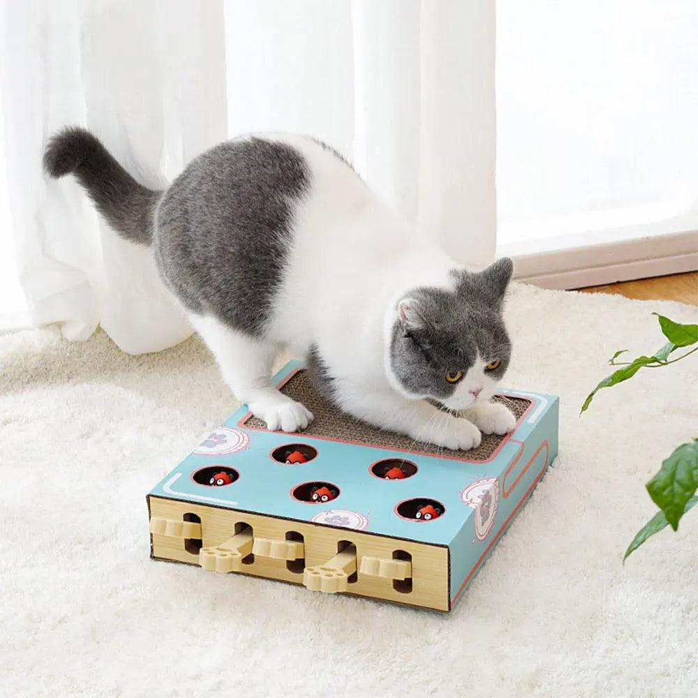 A gray and white cat is interacting with an interactive whack-a-mole style scratching board for cats.