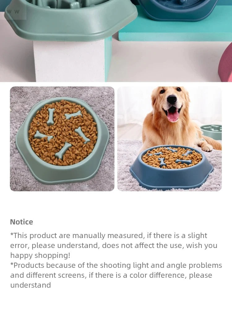 Bol anti-avalage pour chien