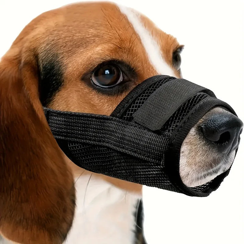 Perro marrón y blanco usando un bozal negro ajustable y transpirable para entrenamiento.
