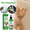 A bottle of intimate pet care flea and tick spray is shown next to a fluffy orange cat grooming itself on a beige sofa.