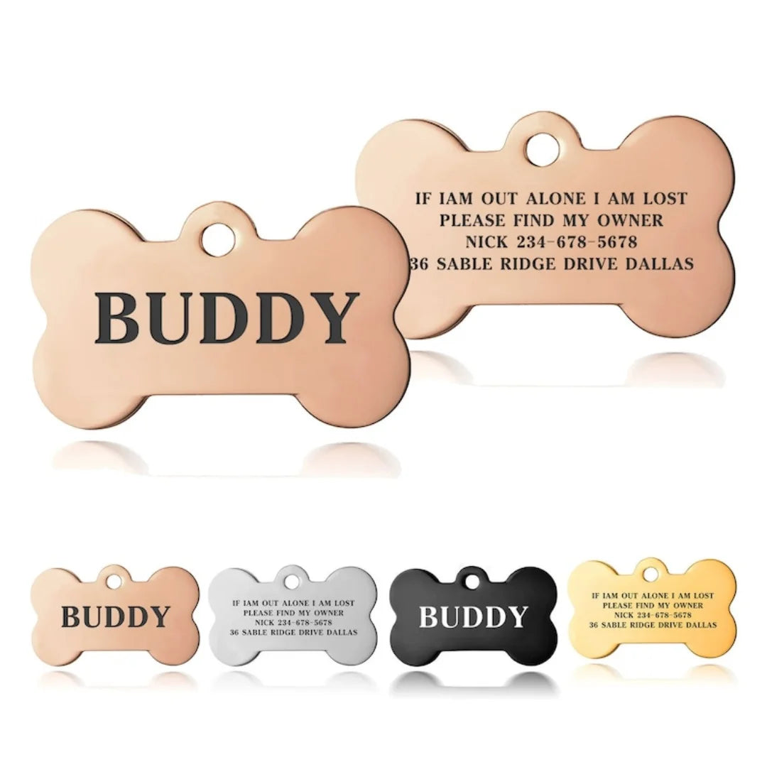 A brass-colored bone-shaped pet ID tag engraved with the word BUDDY