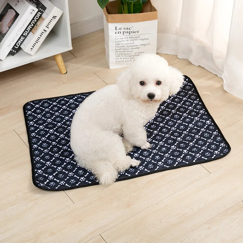 Ein flauschiger weißer Hund liegt auf einer schwarzen Trainingsmatte neben einem Papiertüte mit der Aufschrift Le sac en papi