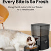 Distributeur de nourriture automatique pour animaux avec commande par bouton