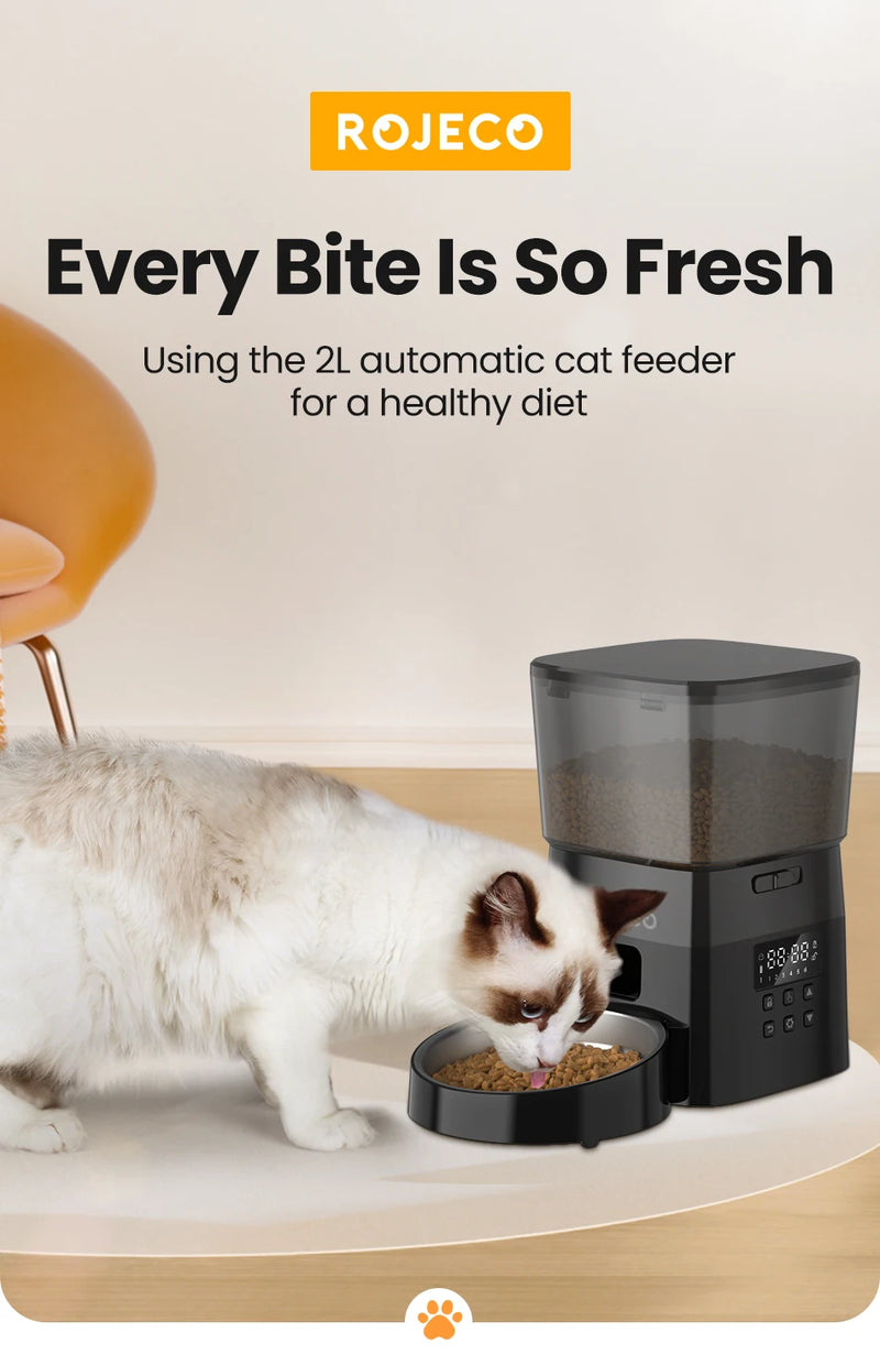 Distributeur de nourriture automatique pour animaux avec commande par bouton