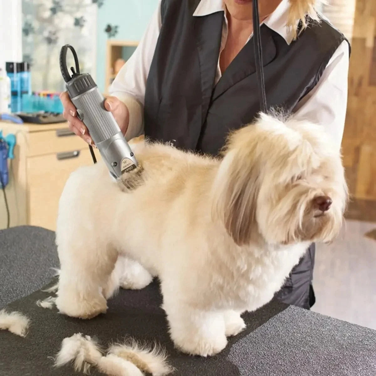 A person is using a detachable stainless steel clipper blade on a fluffy white dog for grooming.