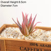Artificial Succulent Bonsai Plant for Home Decor