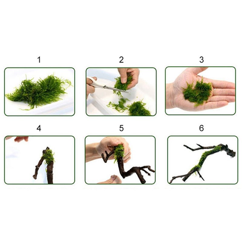 Six steps demonstrating how to use a transparent nylon moss line for aquariums
