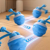 Interactive Rolling Dog Ball with Motion Sensor and Rope