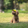 Gorra de Béisbol Ajustable para Perros