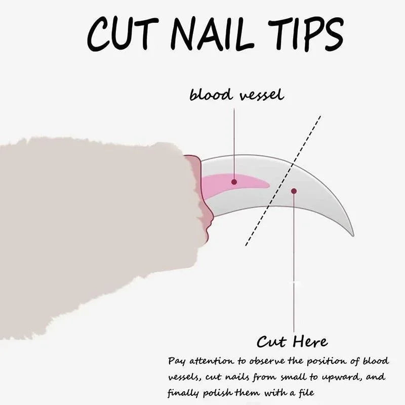 Precision Pet Nail Clippers for Dogs and Cats
