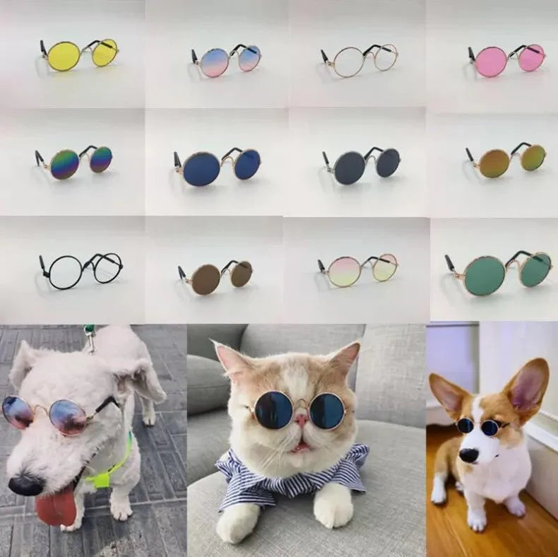 Eine Sammlung alter Hund- und Katzen-Sonnenbrillen in verschiedenen Farben und Stilen.
