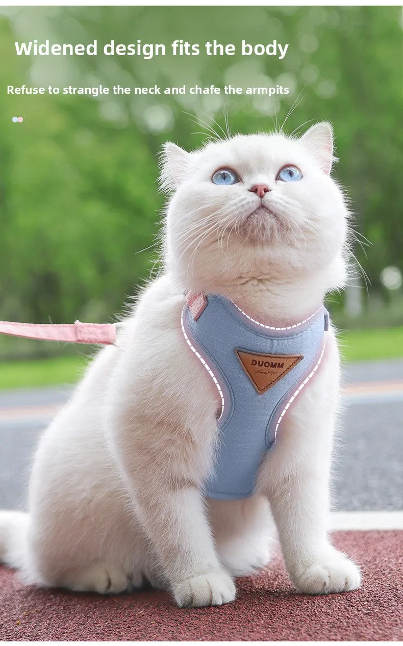 A white cat wearing a light blue escape-proof harness sits on a red surface.