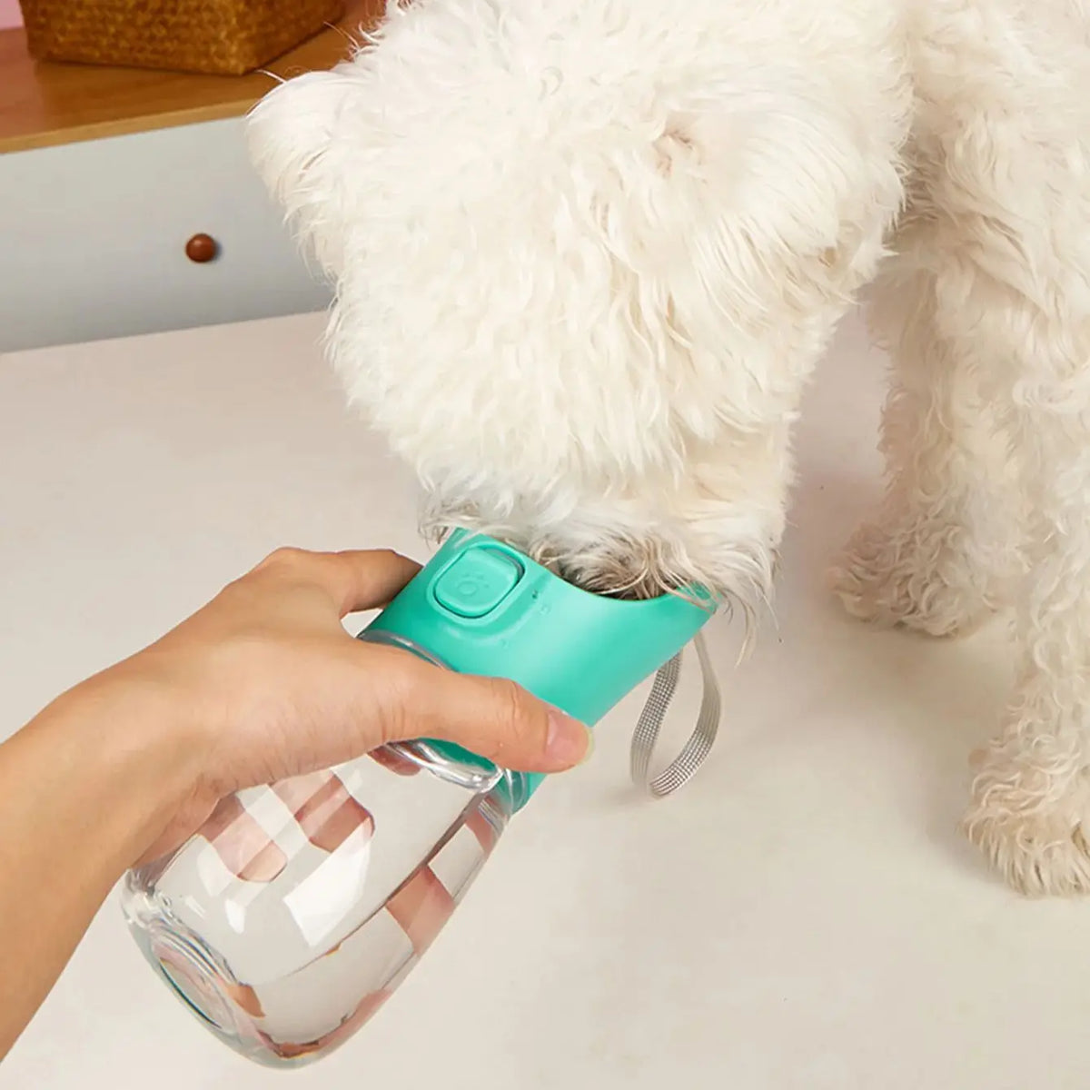 Portable Leakproof Dog Water Bottle with Built-In Drinking Bowl