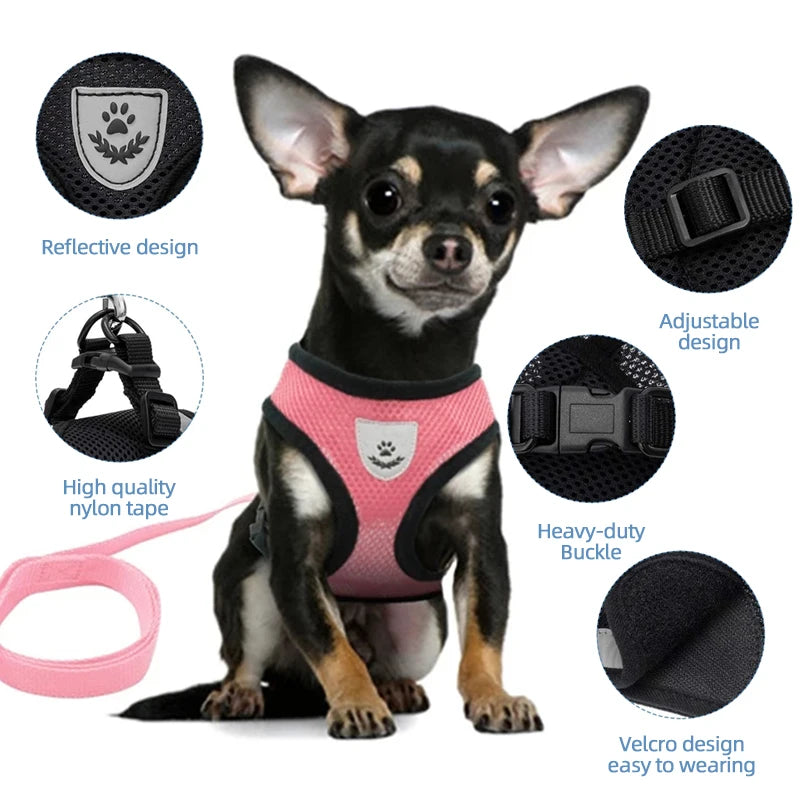 Adjustable Breathable Mesh Dog & Cat Harness with Leash