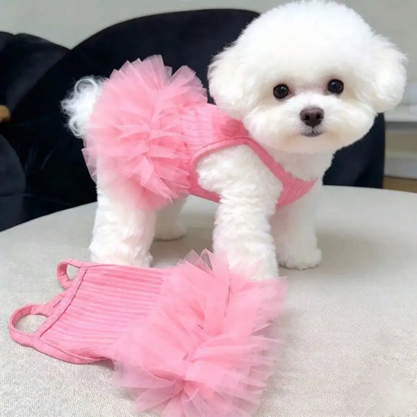 Ein flauschiger weißer Hund in einem rosa Tutu-Kleid.