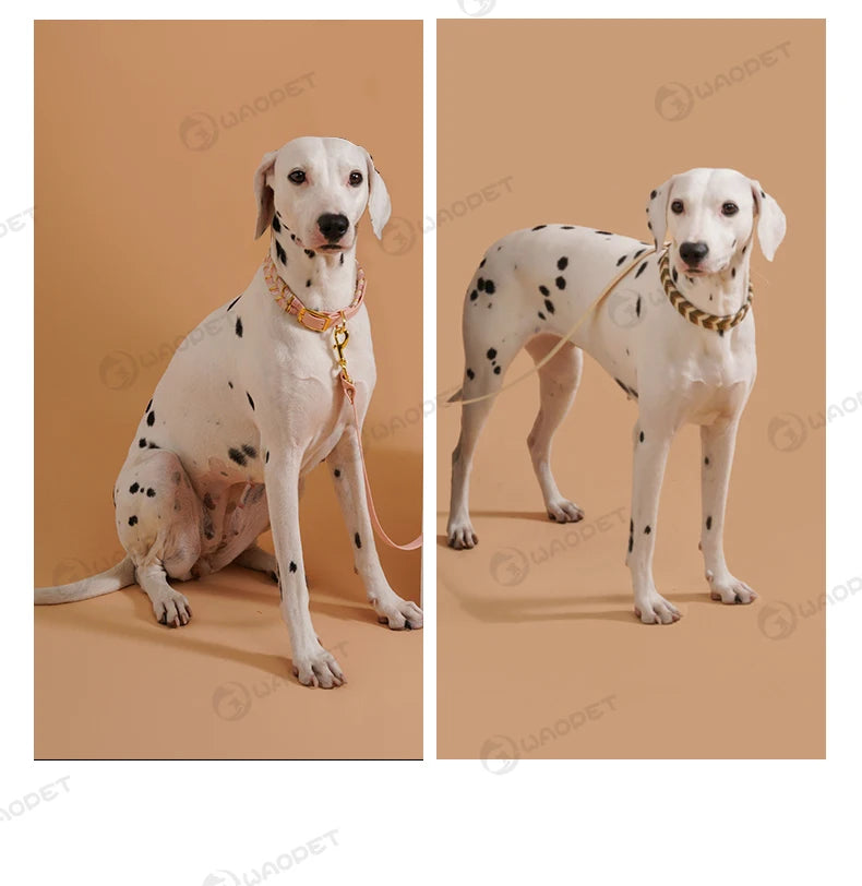 Handcrafted Colorful Striped Dog Collar