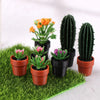Set of 5 Miniature Potted Plants for Dollhouse Scenes