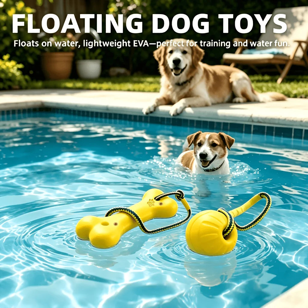 Yellow floating dog toys are visible in a swimming pool with a dog playing in the water.
