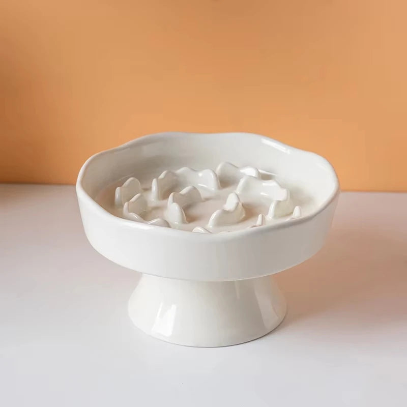 Ceramic Elevated Cat Bowl with Slow Feeder Design