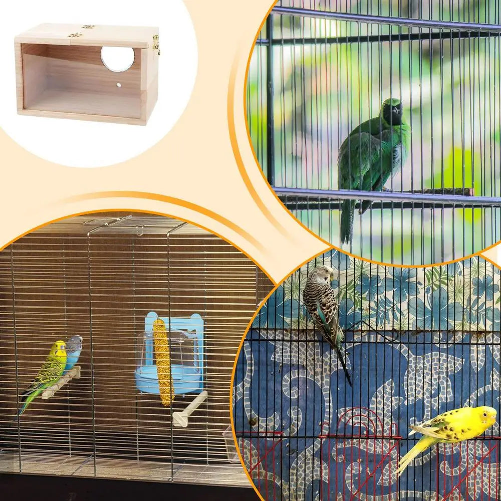 Natural Wood Bird Nesting Box with Viewing Window