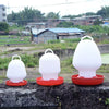 Automatic Chicken Feeder and Waterer Fountain