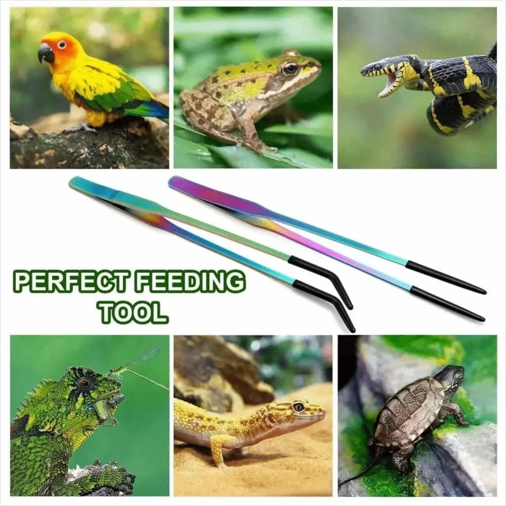 A set of stainless steel aquarium feeding tweezers used for feeding fish or small aquatic animals.