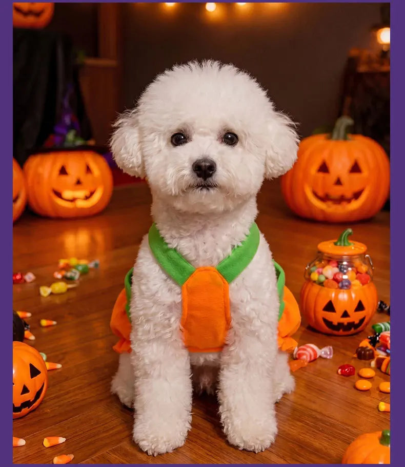 Adjustable Halloween Pumpkin Overall Costume for Small Dogs and Cats
