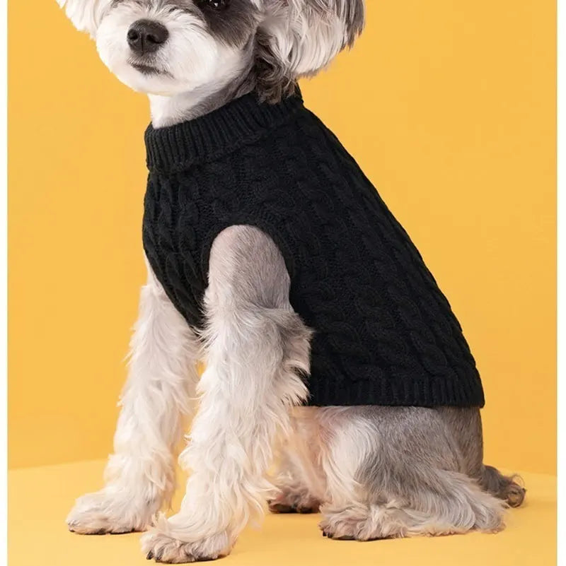 A small dog wearing a black turtleneck knit sweater against a yellow background.