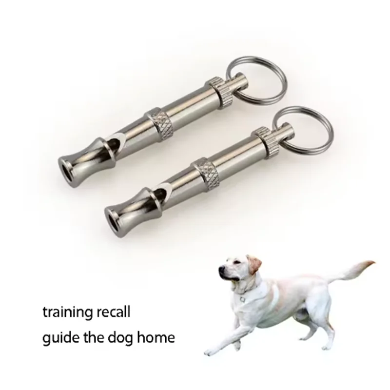 Zwei Edelstahl-Trainierhuetchen mit Springerringen neben einem rennenden Hund.