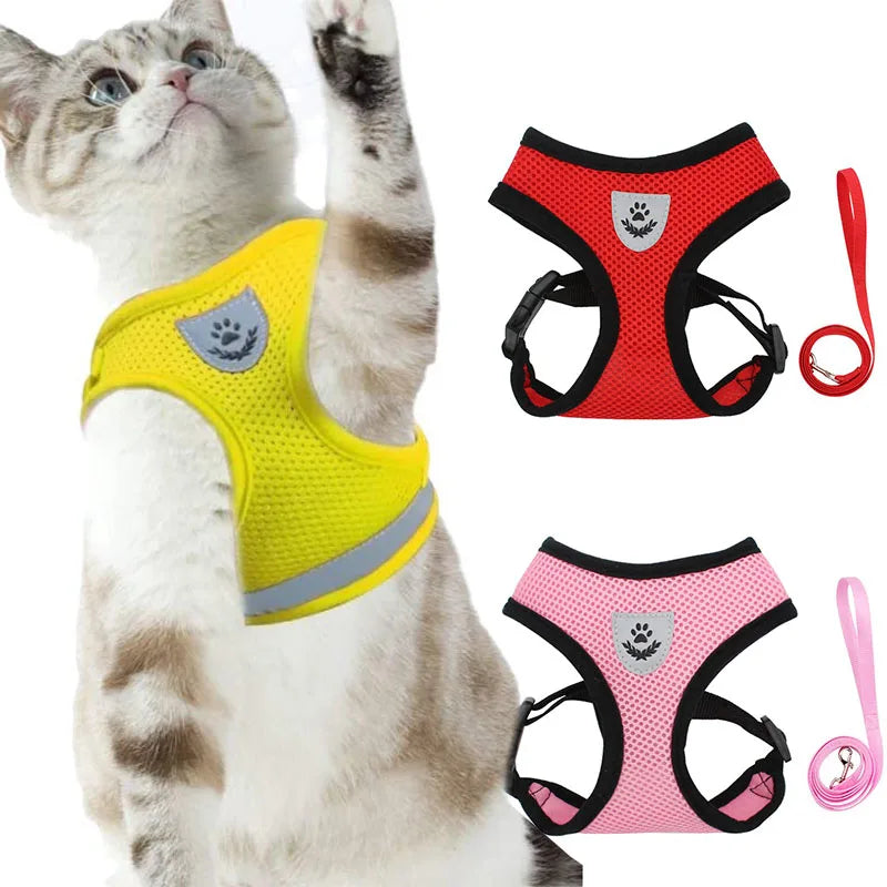 A tabby cat wearing a yellow harness and a pink harness are shown with an attached leash.