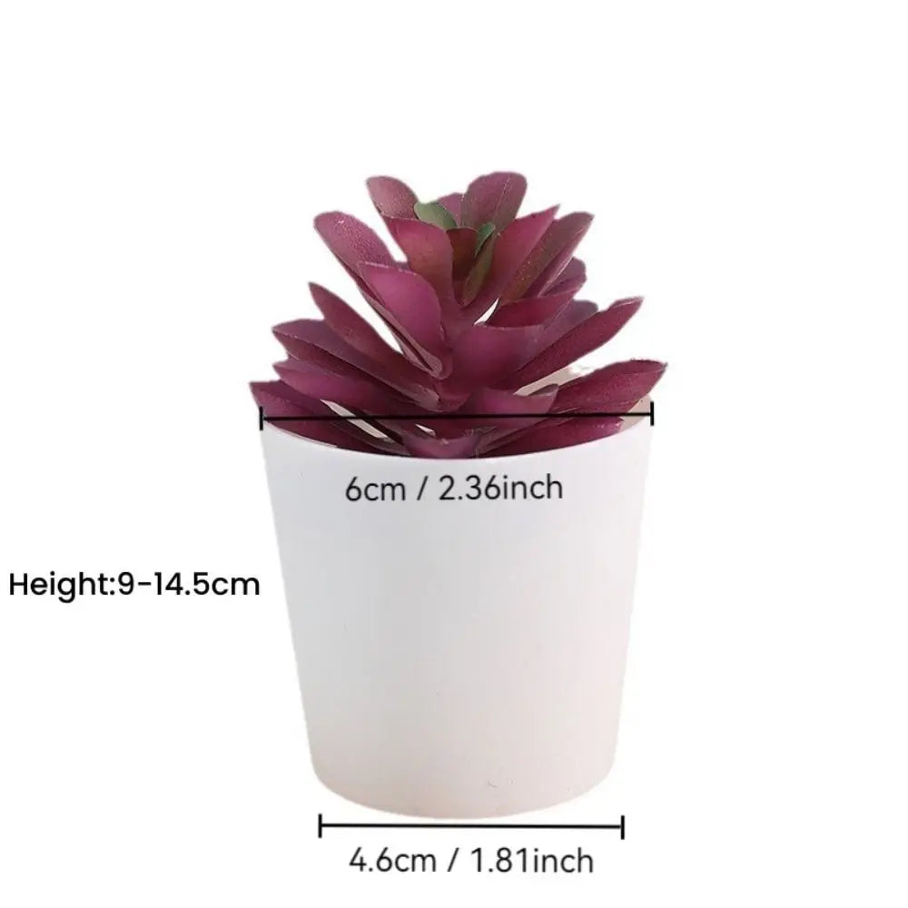 Artificial cactus succulent bonsai plant in a white decorative pot.