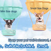 Colorful pet carrier balloons for puppies, mini dogs, small size dogs, and medium size dogs.