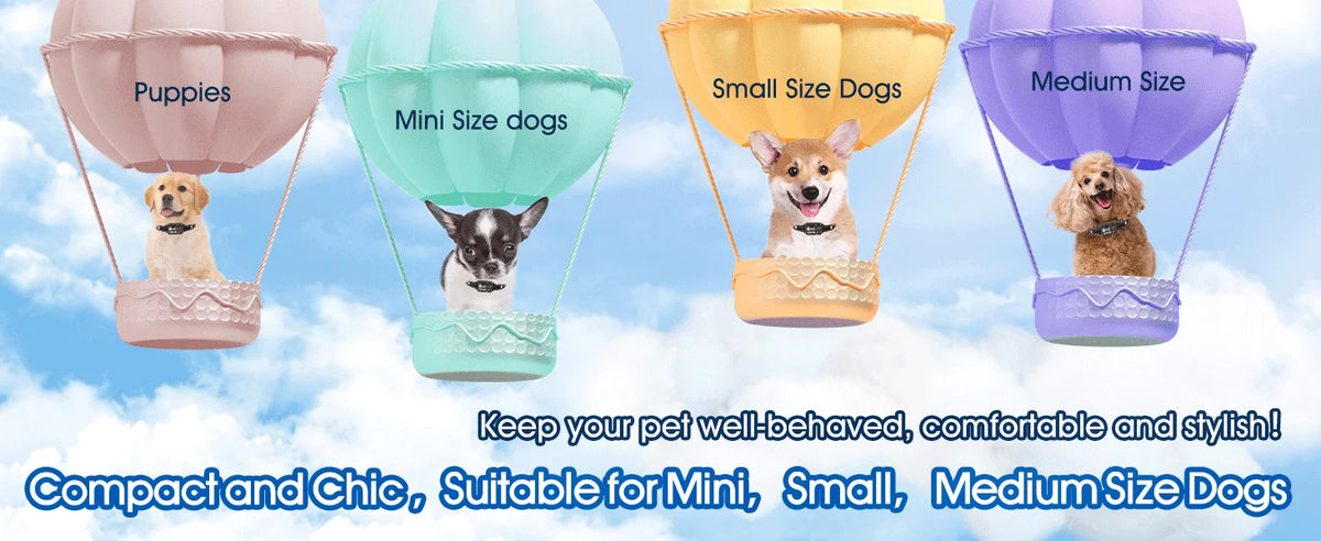 Colorful pet carrier balloons for puppies, mini dogs, small size dogs, and medium size dogs.