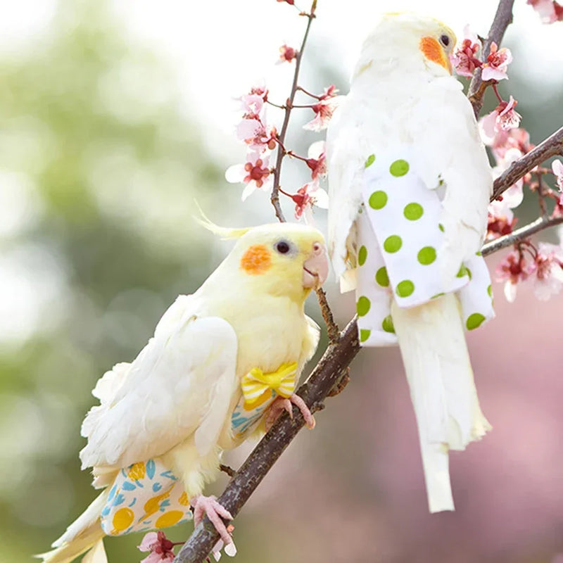 حفاض طائر الببغاء بنقش زهري مع بدلة طيران و ربطة قابلة للغسل