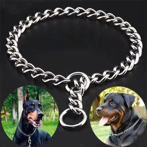 A close-up of a stainless steel dog training choke collar chain.
