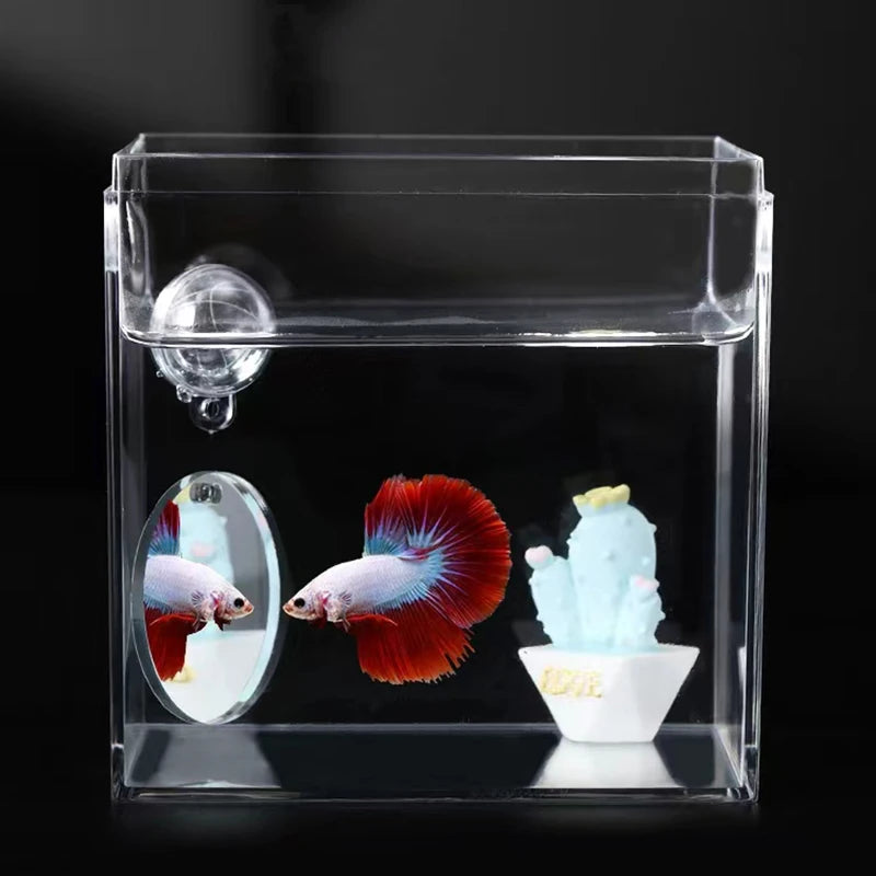 Espejo de Acrílico Flotante para Peces Betta