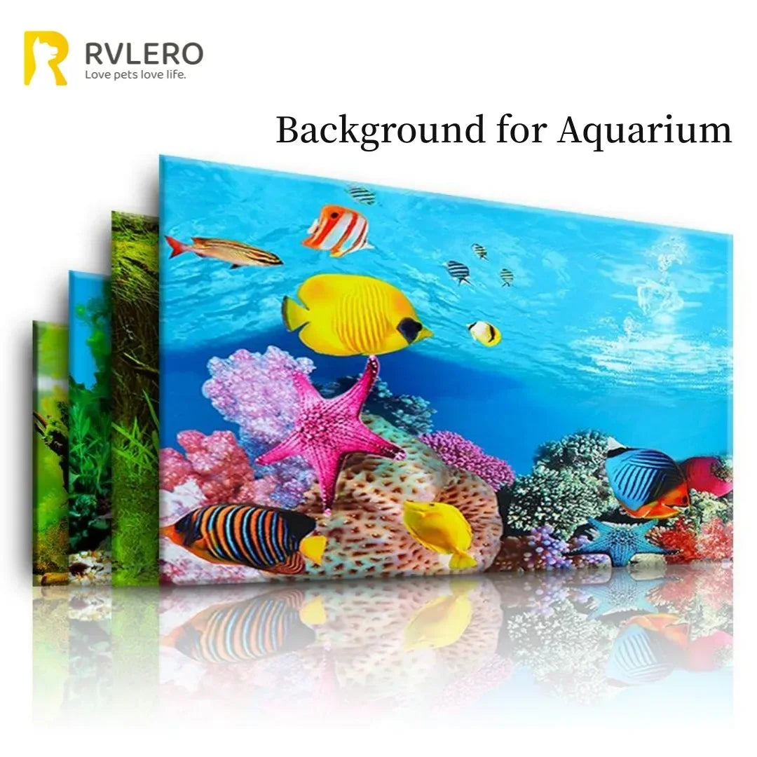 Lebendige Unterwasserszene mit farbenfrohen tropischen Fischen und Korallen für ein Aquarium-Hintergrunddekal.
