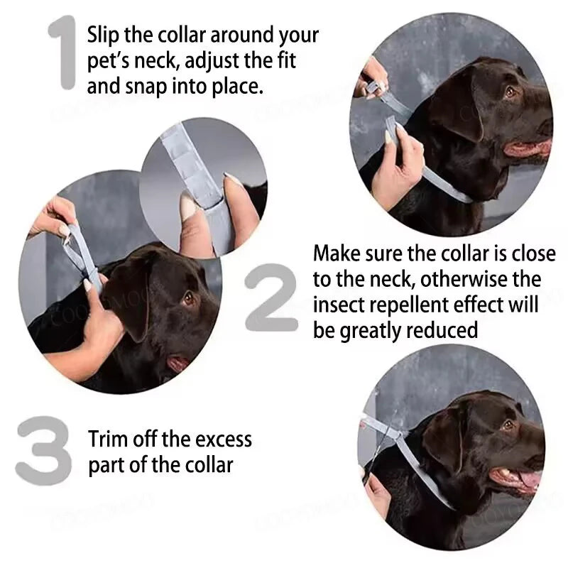 Three steps showing how to fit and trim an adjustable silicone pet collar for a dog's neck.
