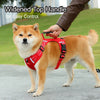 A Shiba Inu dog wearing a red harness with a widened top handle for easy control.