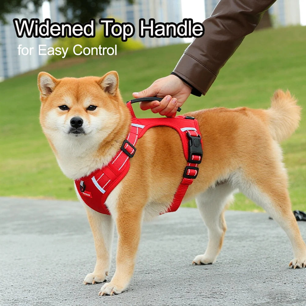 A Shiba Inu dog wearing a red harness with a widened top handle for easy control.