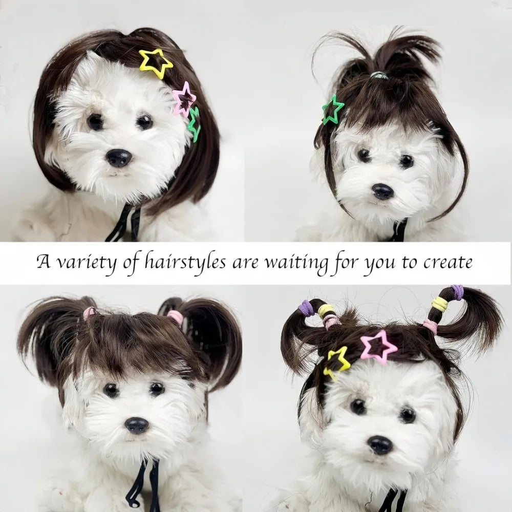 Pet Bob Wig – Funny Cat & Dog Costume Accessory
