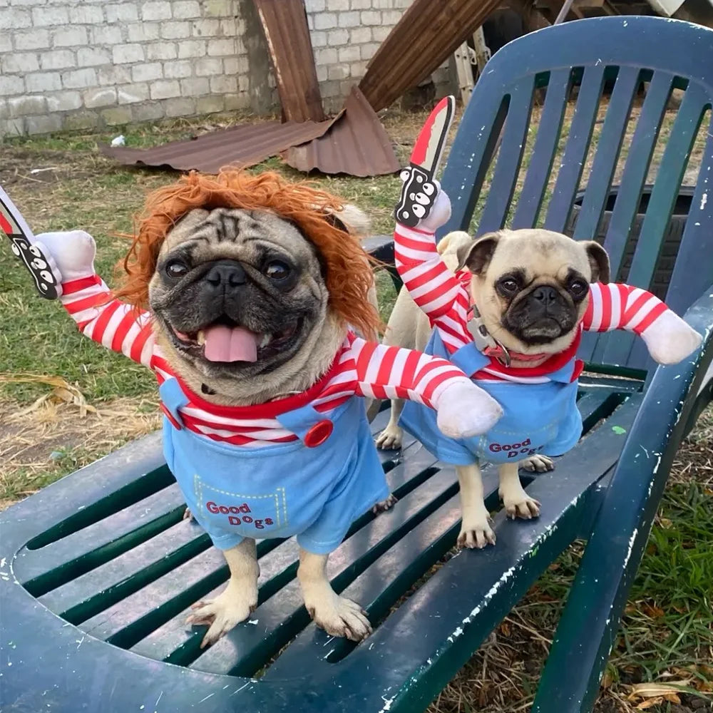 Two bulldog dogs wearing blue pet pullovers with red stripes sitting on a wooden bench.