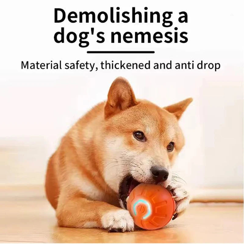 A small, light brown dog is interacting with an orange pet toy ball.