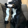 Squeaky Plush Dog Toy with Crinkle Paper – No Stuffing, Durable & Fun