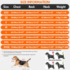 Dog Recovery Suit – Anti-Licking Protective Onesie for Post-Surgery & Wound Care