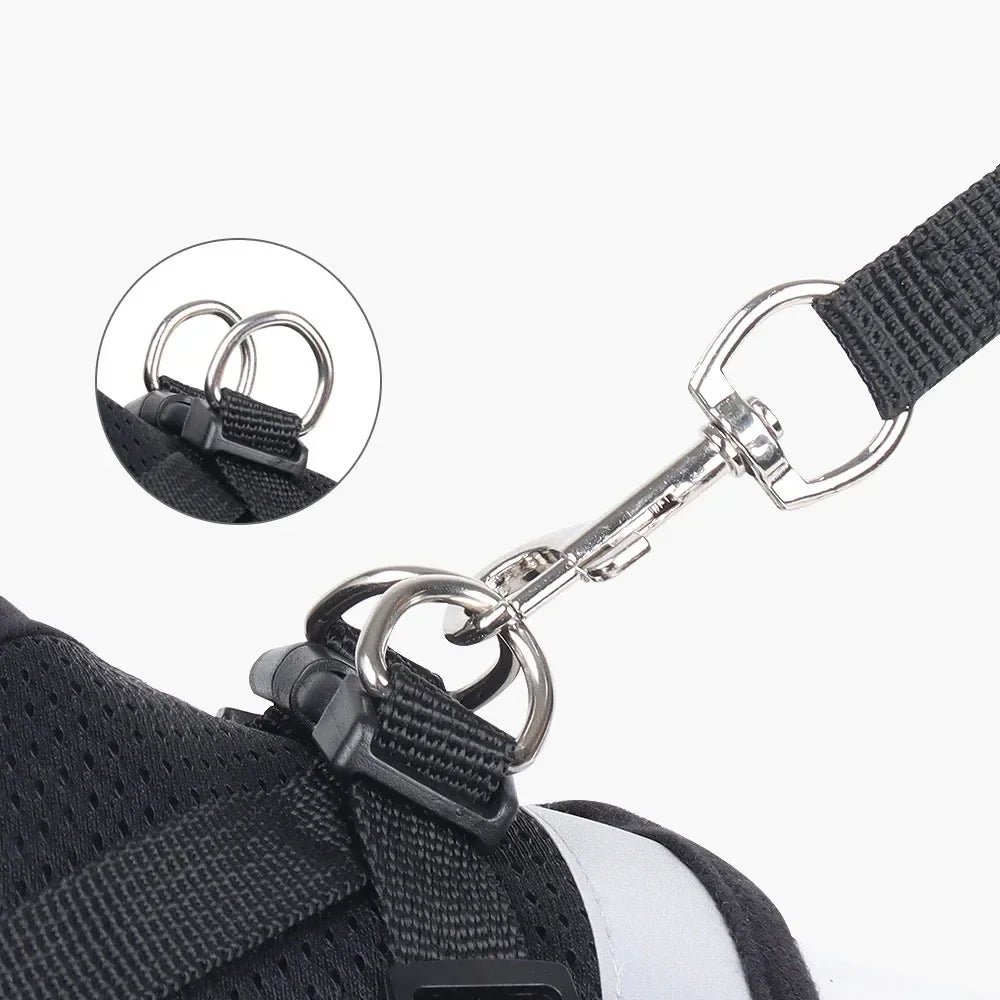 Adjustable Escape-Proof Mesh Harness and Leash Set for Cats and Small Dogs